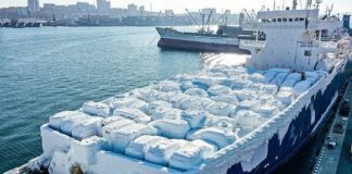 FRÍO EXTREMO – BUQUE CARGUERO DE AUTOS LLEGA A RUSIA CON SU CARGA CONGELADA (VIDEO)