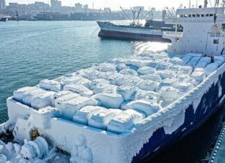 FRÍO EXTREMO – BUQUE CARGUERO DE AUTOS LLEGA A RUSIA CON SU CARGA CONGELADA (VIDEO)