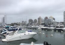PREVÉN RÉCORD DE EMBARCACIONES EN EL PUERTO DE PUNTA DEL ESTE