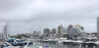 PREVÉN RÉCORD DE EMBARCACIONES EN EL PUERTO DE PUNTA DEL ESTE