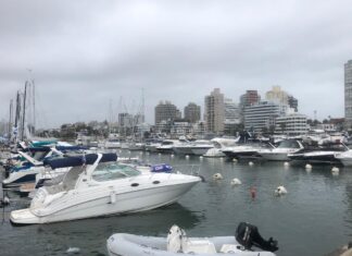 PREVÉN RÉCORD DE EMBARCACIONES EN EL PUERTO DE PUNTA DEL ESTE