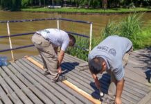 TIGRE – EL MUNICIPIO REALIZÓ TAREAS DE MANTENIMIENTO EN MUELLES DEL DELTA