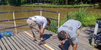 TIGRE – EL MUNICIPIO REALIZÓ TAREAS DE MANTENIMIENTO EN MUELLES DEL DELTA