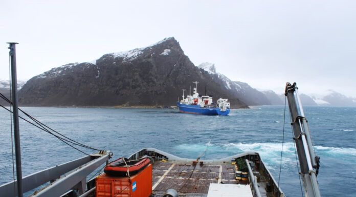 EMERGENCIA EN LA ANTÁRTIDA – LA ARMADA ARGENTINA AUXILIÓ A UN BUQUE DE BANDERA RUSA