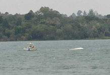 POSADAS – UNA LANCHA DIO VUELTA DE CAMPANA EN EL PARANÁ Y SUS OCUPANTES FUERON RESCATADOS DEL AGUA