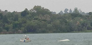 POSADAS – UNA LANCHA DIO VUELTA DE CAMPANA EN EL PARANÁ Y SUS OCUPANTES FUERON RESCATADOS DEL AGUA