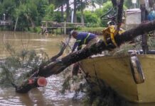 EL MUNICIPIO DE TIGRE REALIZÓ TAREAS DE MANTENIMIENTO EN VIAS NAVEGABLES DEL DELTA
