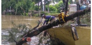 EL MUNICIPIO DE TIGRE REALIZÓ TAREAS DE MANTENIMIENTO EN VIAS NAVEGABLES DEL DELTA