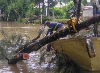 EL MUNICIPIO DE TIGRE REALIZÓ TAREAS DE MANTENIMIENTO EN VIAS NAVEGABLES DEL DELTA
