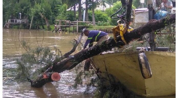 EL MUNICIPIO DE TIGRE REALIZÓ TAREAS DE MANTENIMIENTO EN VIAS NAVEGABLES DEL DELTA