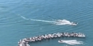 VIDEO – POLÉMICA EN CHILE POR FESTA DE LANCHAS QUE INCLUYÓ UN HELICOPTERO EN EL LAGO VILLARRICA