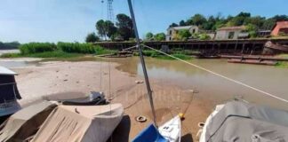 RÍO PARANÁ: CRECIÓ EN ENTRE RÍOS PERO LA BAJANTE CONTINUARÁ