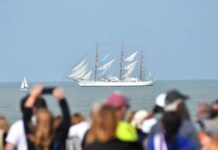 SE DESARROLLÓ EL GRAN DESFILE NÁUTICO FRENTE A LAS COSTAS DE MAR DEL PLATA