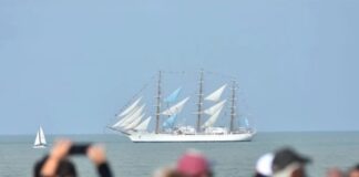 SE DESARROLLÓ EL GRAN DESFILE NÁUTICO FRENTE A LAS COSTAS DE MAR DEL PLATA
