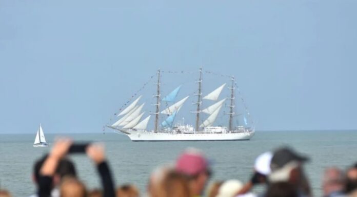 SE DESARROLLÓ EL GRAN DESFILE NÁUTICO FRENTE A LAS COSTAS DE MAR DEL PLATA