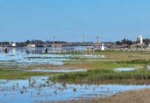 EL RÍO PARANÁ Y UN GRAN SALTO: SE LLENÓ DE AGUA LA LAGUNA SETÚBAL