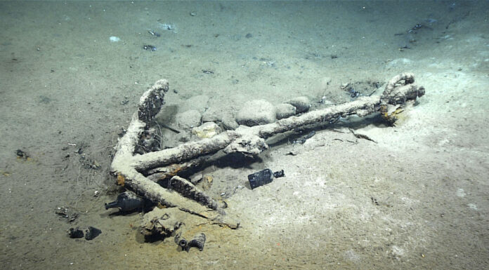 VIDEO: DESCUBREN EN EL GOLFO DE MÉXICO EL ÚNICO BARCO BALLENERO HUNDIDO EN ESAS AGUAS, CUYA HISTORIA RECUERDA A “MOBY DICK”