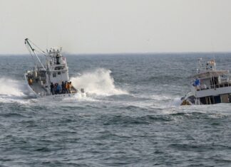 DIEZ MUERTOS Y 16 DESAPARECIDOS TRAS EL NAUFRAGIO DE UN BARCO TURÍSTICO EN JAPÓN