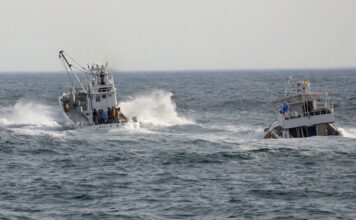 DIEZ MUERTOS Y 16 DESAPARECIDOS TRAS EL NAUFRAGIO DE UN BARCO TURÍSTICO EN JAPÓN
