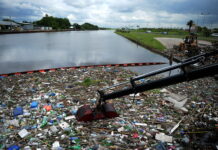 TIGRE: VECINOS Y ONGS CONVOCAN A LIMPIAR EL RÍO