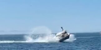 (VIDEO) LANCHA TURÍSTICA EN BAJA CALIFORNIA SUR EN MÉXICO CHOCA CONTRA BALLENA; HAY LESIONADOS