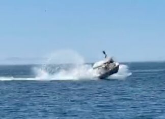 (VIDEO) LANCHA TURÍSTICA EN BAJA CALIFORNIA SUR EN MÉXICO CHOCA CONTRA BALLENA; HAY LESIONADOS