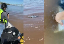 UN PESCADOR SE TOPA EN EL RÍO PARANÁ CON 258 KILOS DE MARIHUANA FLOTANDO