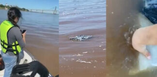 UN PESCADOR SE TOPA EN EL RÍO PARANÁ CON 258 KILOS DE MARIHUANA FLOTANDO