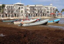 TURISMO MEXICANO PREOCUPADO POR LA LLEGADA HISTÓRICA DE SARGAZO A LAS PLAYAS DEL CARIBE
