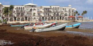 TURISMO MEXICANO PREOCUPADO POR LA LLEGADA HISTÓRICA DE SARGAZO A LAS PLAYAS DEL CARIBE