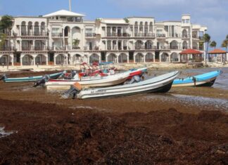 TURISMO MEXICANO PREOCUPADO POR LA LLEGADA HISTÓRICA DE SARGAZO A LAS PLAYAS DEL CARIBE
