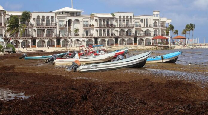 TURISMO MEXICANO PREOCUPADO POR LA LLEGADA HISTÓRICA DE SARGAZO A LAS PLAYAS DEL CARIBE