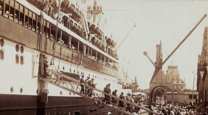 CÓMO ES EL BUSCADOR QUE PERMITE SABER EN QUE BARCOS LLEGARON A ARGENTINA NUESTROS ANTEPASADOS