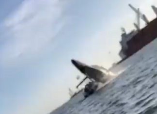 VIDEO – BALLENA DA UN SALTO, APLASTA UNA LANCHA Y LESIONA A DOS PERSONAS EN MÉXICO