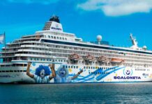 SCALONETA FLOTANTE EN EL MUNDIAL DE QATAR: COMO SERÁ EL CRUCERO PARA HINCHAS DE LA SELECCIÓN, CUÁNTO COSTARÁ Y QUE SHOWS INCLUIRÁ