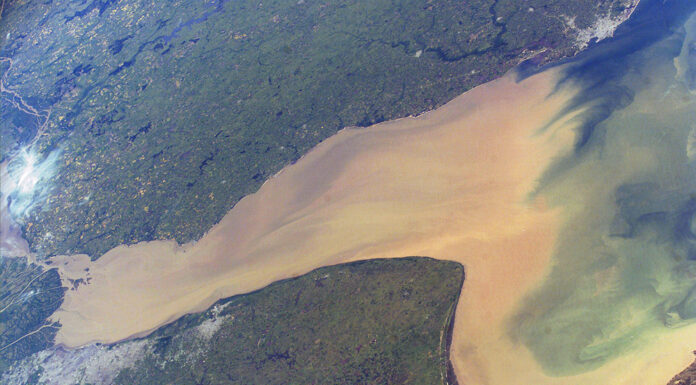 NASA: LA ESTACIÓN ESPACIAL INTERNACIONAL TOMÓ IMPRESIONANTES FOTOS DEL RÍO DE LA PLATA
