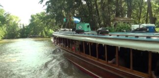 TIGRE: VECINOS DEL DELTA RECLAMAN POR FALTA DE SERVICIO DE LANCHAS COLECTIVAS DE LÍNEA DELTA