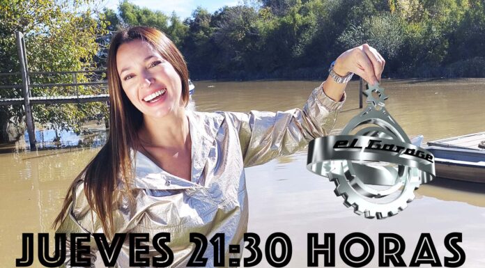 HOY EN PARALELO CERO TE MOSTRAMOS UN CATAMARÁN ARGENTINO Y UN PROTOTIPO FERRARI