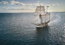 COMO EN LOS VIEJOS TIEMPOS, CAFÉ ENVIADO POR VELEROS PARA DISMINUIR EL DOMINIO EN ALTA MAR DE LOS BARCOS PESADOS