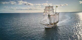COMO EN LOS VIEJOS TIEMPOS, CAFÉ ENVIADO POR VELEROS PARA DISMINUIR EL DOMINIO EN ALTA MAR DE LOS BARCOS PESADOS