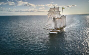 COMO EN LOS VIEJOS TIEMPOS, CAFÉ ENVIADO POR VELEROS PARA DISMINUIR EL DOMINIO EN ALTA MAR DE LOS BARCOS PESADOS