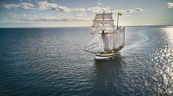 COMO EN LOS VIEJOS TIEMPOS, CAFÉ ENVIADO POR VELEROS PARA DISMINUIR EL DOMINIO EN ALTA MAR DE LOS BARCOS PESADOS