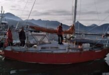 IDENTIFICARON AL VELERO QUE EMBISTIÓ UNA BALLENA EN EL CANAL DE BEAGLE Y YA INTERVIENE LA JUSTICIA