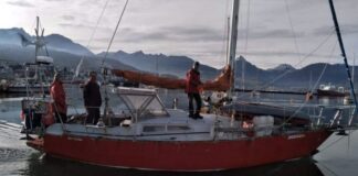 IDENTIFICARON AL VELERO QUE EMBISTIÓ UNA BALLENA EN EL CANAL DE BEAGLE Y YA INTERVIENE LA JUSTICIA