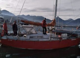 IDENTIFICARON AL VELERO QUE EMBISTIÓ UNA BALLENA EN EL CANAL DE BEAGLE Y YA INTERVIENE LA JUSTICIA