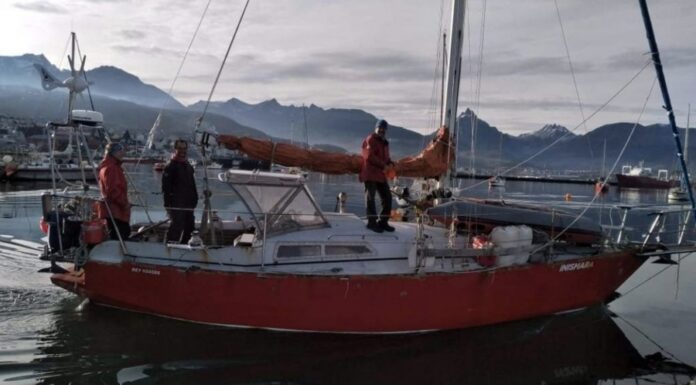 IDENTIFICARON AL VELERO QUE EMBISTIÓ UNA BALLENA EN EL CANAL DE BEAGLE Y YA INTERVIENE LA JUSTICIA