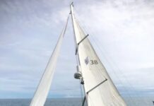 MILAGRO EN AUSTRALIA: CAYÓ DEL BARCO Y UTILIZÓ UN TRUCO QUE LE PERMITIÓ SOBREVIVIR 17 KILÓMETROS ENTRE TIBURONES