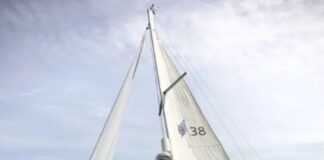 MILAGRO EN AUSTRALIA: CAYÓ DEL BARCO Y UTILIZÓ UN TRUCO QUE LE PERMITIÓ SOBREVIVIR 17 KILÓMETROS ENTRE TIBURONES