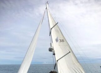 MILAGRO EN AUSTRALIA: CAYÓ DEL BARCO Y UTILIZÓ UN TRUCO QUE LE PERMITIÓ SOBREVIVIR 17 KILÓMETROS ENTRE TIBURONES