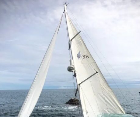 MILAGRO EN AUSTRALIA: CAYÓ DEL BARCO Y UTILIZÓ UN TRUCO QUE LE PERMITIÓ SOBREVIVIR 17 KILÓMETROS ENTRE TIBURONES
